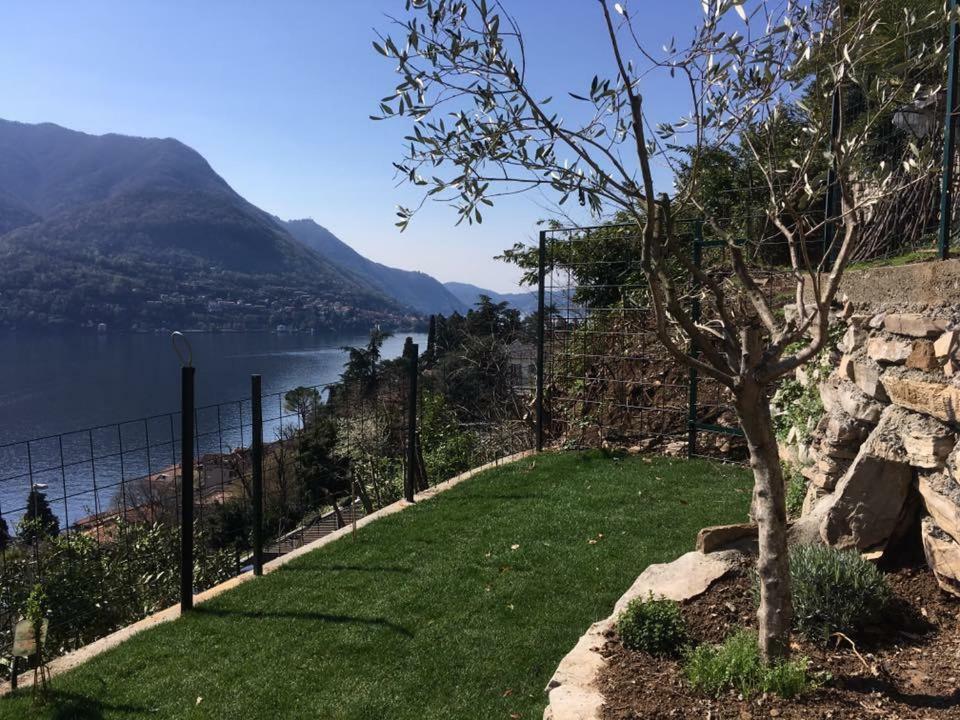 Ferienwohnung Residenza Andrea Olga Laglio Exterior foto